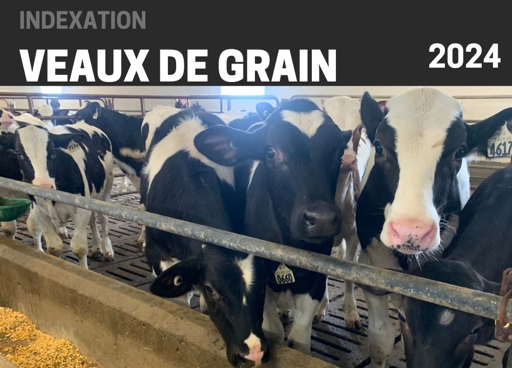 Informations complémentaires : INDEXATION 2024 - VEAUX DE GRAIN